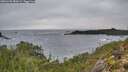 ./images/calvert/foggy-cove/20251203/foggy-cove20251203_084502M.jpg