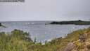 ./images/calvert/foggy-cove/20251203/foggy-cove20251203_094501M.jpg