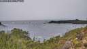 ./images/calvert/foggy-cove/20251203/foggy-cove20251203_103001M.jpg