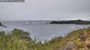 ./images/calvert/foggy-cove/20251203/foggy-cove20251203_112501M.jpg