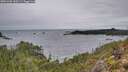 ./images/calvert/foggy-cove/20251203/foggy-cove20251203_130501M.jpg