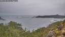 ./images/calvert/foggy-cove/20251203/foggy-cove20251203_133501M.jpg
