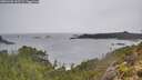 ./images/calvert/foggy-cove/20251203/foggy-cove20251203_145501M.jpg