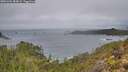 ./images/calvert/foggy-cove/20251204/foggy-cove20251204_084001M.jpg