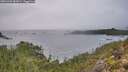 ./images/calvert/foggy-cove/20251204/foggy-cove20251204_085001M.jpg