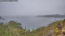 ./images/calvert/foggy-cove/20251204/foggy-cove20251204_090501M.jpg