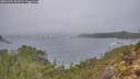 ./images/calvert/foggy-cove/20251204/foggy-cove20251204_091501M.jpg