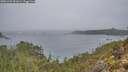 ./images/calvert/foggy-cove/20251204/foggy-cove20251204_092001M.jpg