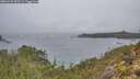 ./images/calvert/foggy-cove/20251204/foggy-cove20251204_093501M.jpg