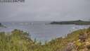 ./images/calvert/foggy-cove/20251204/foggy-cove20251204_094001M.jpg