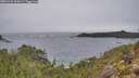 ./images/calvert/foggy-cove/20251204/foggy-cove20251204_094501M.jpg