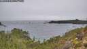 ./images/calvert/foggy-cove/20251204/foggy-cove20251204_095001M.jpg