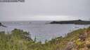 ./images/calvert/foggy-cove/20251204/foggy-cove20251204_095501M.jpg