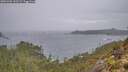 ./images/calvert/foggy-cove/20251204/foggy-cove20251204_102502M.jpg