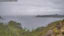 ./images/calvert/foggy-cove/20251204/foggy-cove20251204_103501M.jpg