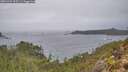 ./images/calvert/foggy-cove/20251204/foggy-cove20251204_105501M.jpg