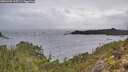 ./images/calvert/foggy-cove/20251204/foggy-cove20251204_115501M.jpg