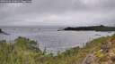./images/calvert/foggy-cove/20251204/foggy-cove20251204_123001M.jpg