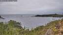 ./images/calvert/foggy-cove/20251204/foggy-cove20251204_132501M.jpg