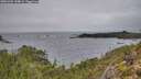 ./images/calvert/foggy-cove/20251204/foggy-cove20251204_134001M.jpg