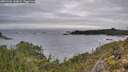 ./images/calvert/foggy-cove/20251204/foggy-cove20251204_144002M.jpg