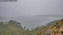 ./images/calvert/foggy-cove/20251205/foggy-cove20251205_104001M.jpg