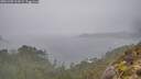 ./images/calvert/foggy-cove/20251205/foggy-cove20251205_114501M.jpg