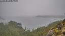 ./images/calvert/foggy-cove/20251205/foggy-cove20251205_144001M.jpg