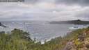 ./images/calvert/foggy-cove/20251206/foggy-cove20251206_095501M.jpg