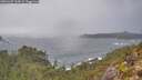 ./images/calvert/foggy-cove/20251207/foggy-cove20251207_144502M.jpg