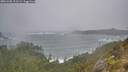 ./images/calvert/foggy-cove/20251208/foggy-cove20251208_111501M.jpg