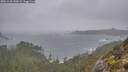 ./images/calvert/foggy-cove/20251210/foggy-cove20251210_133001M.jpg