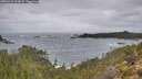 ./images/calvert/foggy-cove/20251211/foggy-cove20251211_103001M.jpg