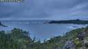 ./images/calvert/foggy-cove/20251211/foggy-cove20251211_162502M.jpg