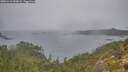./images/calvert/foggy-cove/20251212/foggy-cove20251212_093002M.jpg