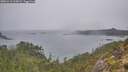 ./images/calvert/foggy-cove/20251212/foggy-cove20251212_110001M.jpg