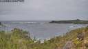 ./images/calvert/foggy-cove/20251214/foggy-cove20251214_100001M.jpg