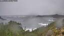 ./images/calvert/foggy-cove/20251214/foggy-cove20251214_153001M.jpg