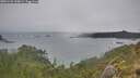 ./images/calvert/foggy-cove/20251222/foggy-cove20251222_100001M.jpg