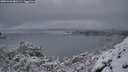 ./images/calvert/foggy-cove/20251226/foggy-cove20251226_082501M.jpg