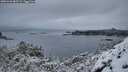 ./images/calvert/foggy-cove/20251226/foggy-cove20251226_085501M.jpg