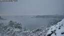 ./images/calvert/foggy-cove/20251226/foggy-cove20251226_093502M.jpg