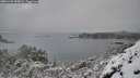 ./images/calvert/foggy-cove/20251226/foggy-cove20251226_095001M.jpg