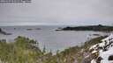 ./images/calvert/foggy-cove/20251227/foggy-cove20251227_103501M.jpg