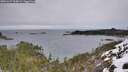 ./images/calvert/foggy-cove/20251227/foggy-cove20251227_104001M.jpg