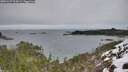 ./images/calvert/foggy-cove/20251227/foggy-cove20251227_104501M.jpg