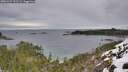./images/calvert/foggy-cove/20251227/foggy-cove20251227_122501M.jpg