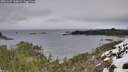 ./images/calvert/foggy-cove/20251227/foggy-cove20251227_130002M.jpg