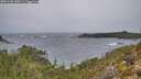 ./images/calvert/foggy-cove/20251228/foggy-cove20251228_090501M.jpg