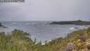 ./images/calvert/foggy-cove/20251228/foggy-cove20251228_091001M.jpg